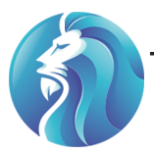 Topfinalyst Consulting Accounting 