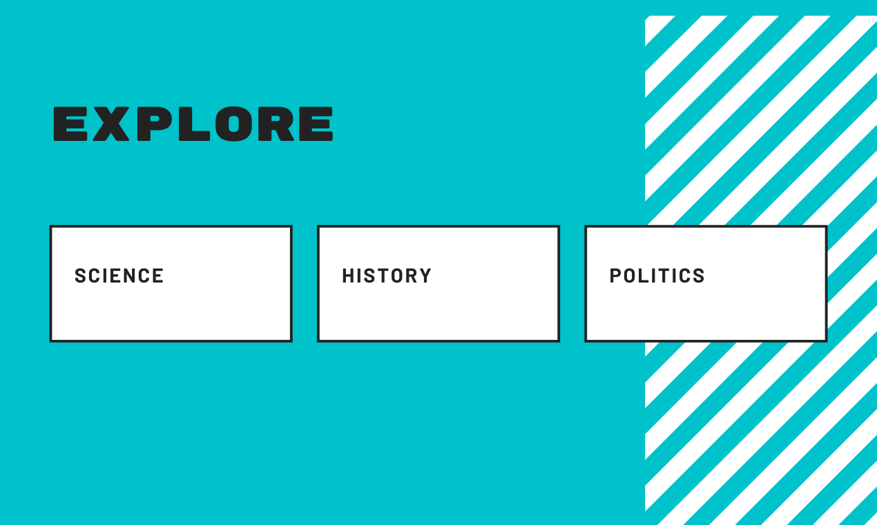 Dibfeed gallery image