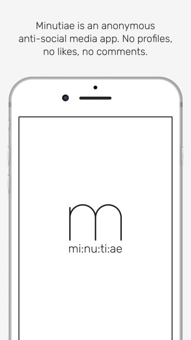 Minutiae gallery image