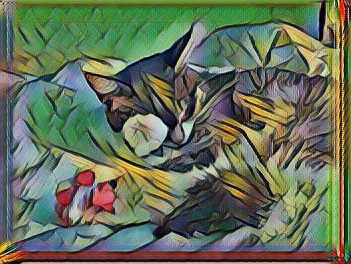 Plundr gallery image