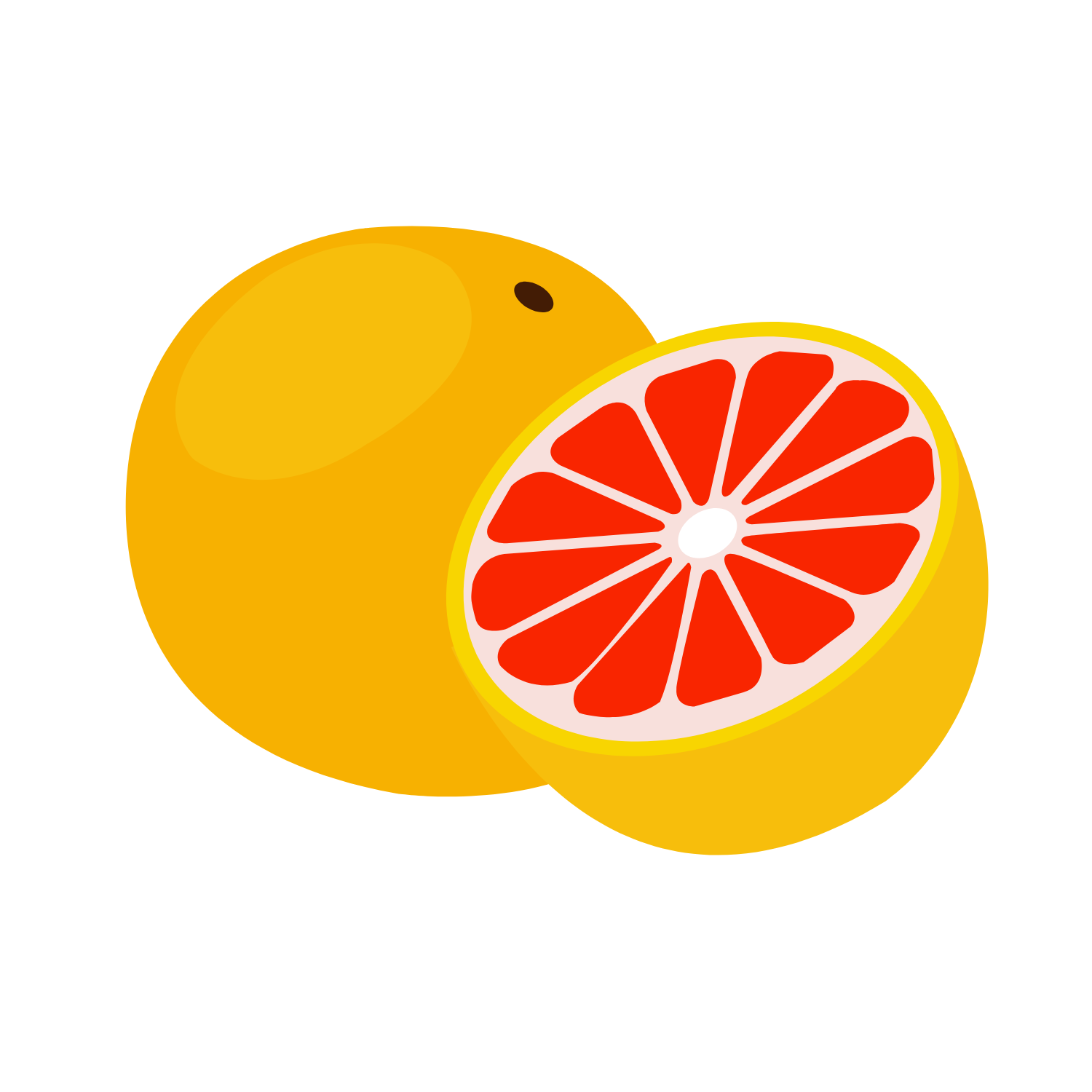 pomelmi 0.14.0 logo