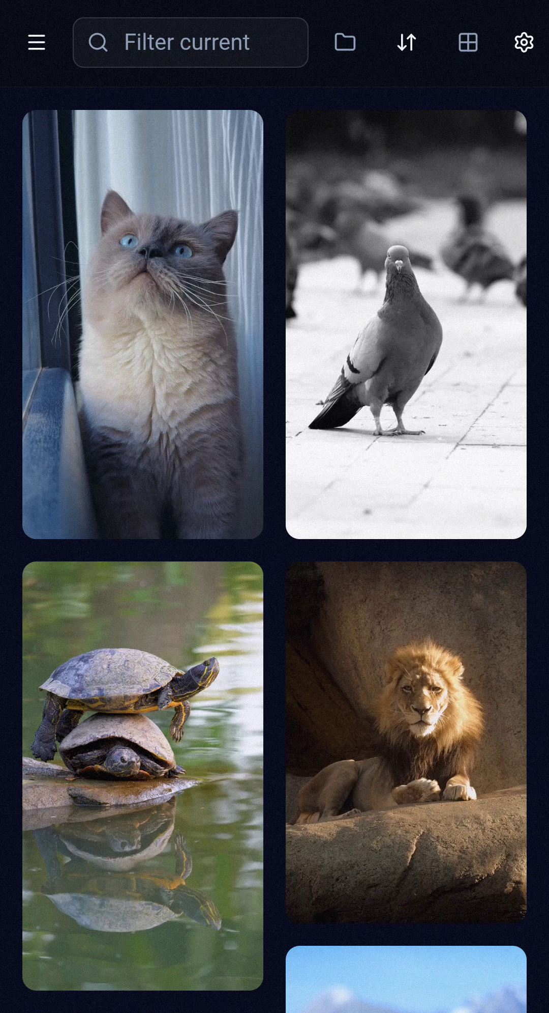 Local Masonry Video Player - Main product screenshot demonstrating key features and user interface