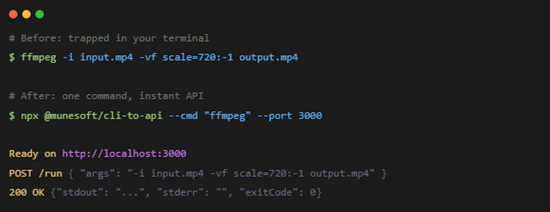 cli-to-api screenshot 3
