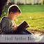 Red Antler Books