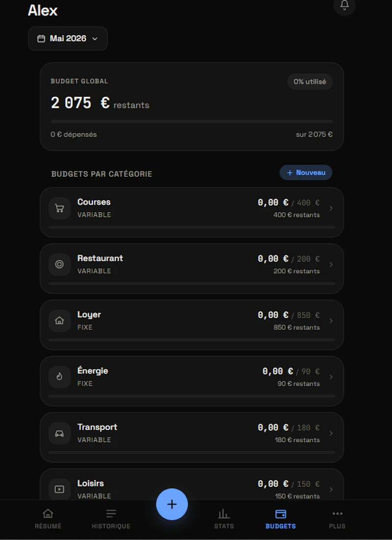BudgetVision screenshot 5