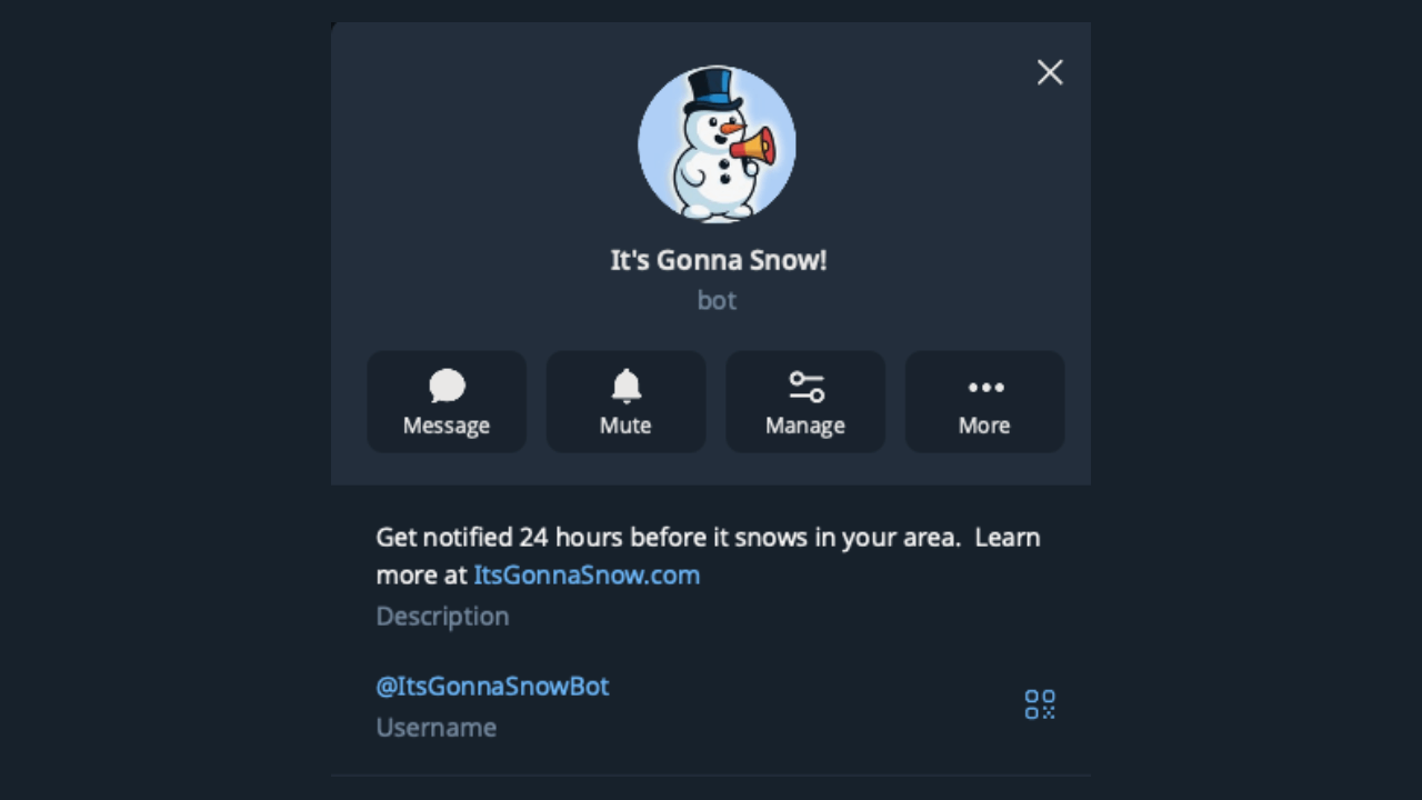 It's Gonna Snow! - Telegram Bot gallery image