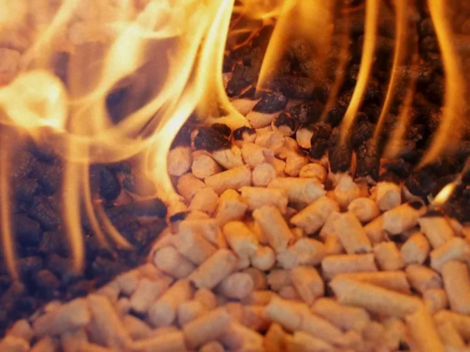 rice husk pellet machine screenshot 4