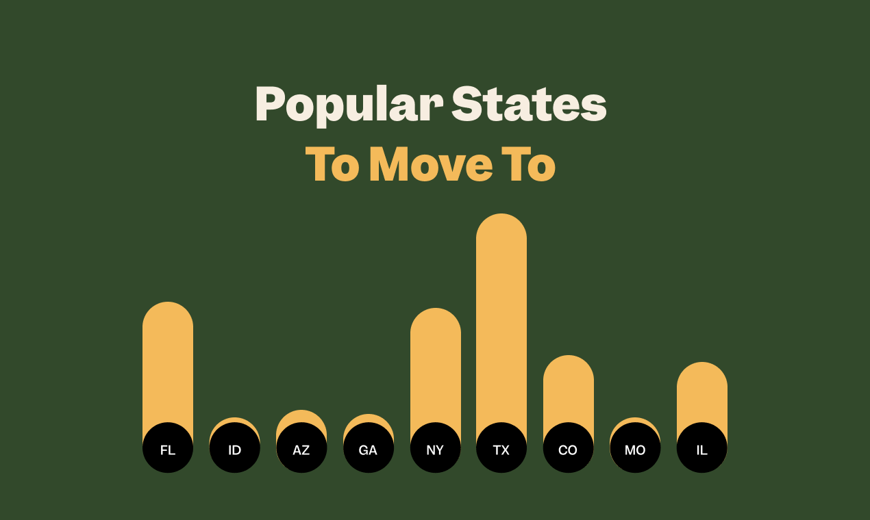 Transplant.to gallery image