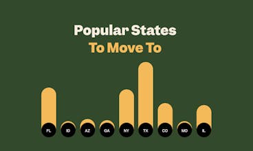 Transplant.to gallery image