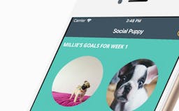 Social Puppy media 1