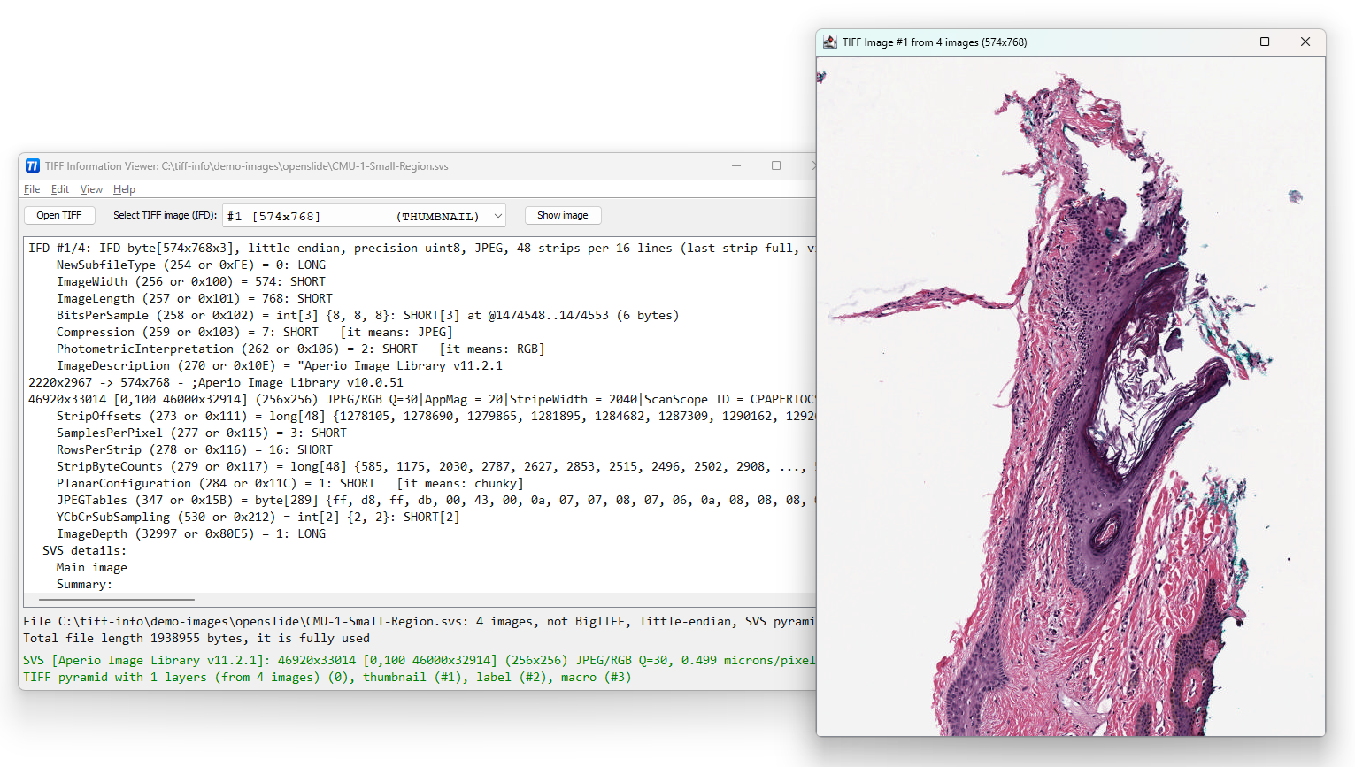 AlgART TIFF Information Viewer - Main product screenshot demonstrating key features and user interface