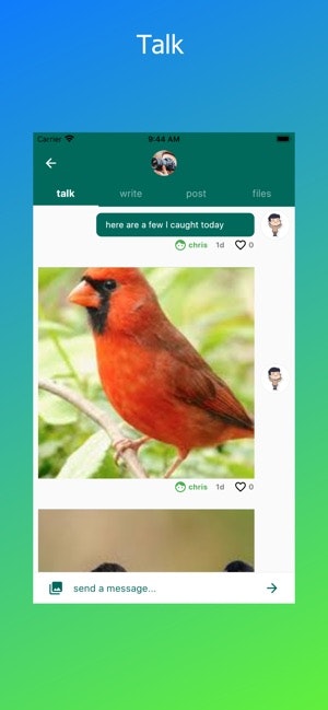 common micro-communities gallery image