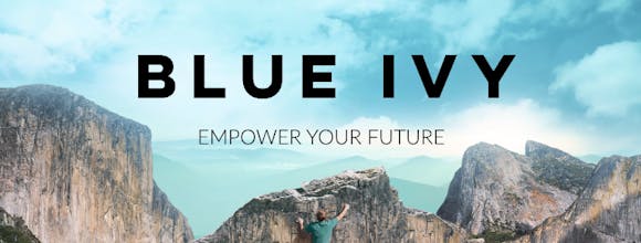 Blue Ivy Advisers gallery image