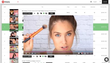 Biteplay - Laser Targeted Youtube Ads gallery image