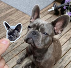 Sticker Pet gallery image