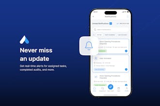 Audit Now gallery image