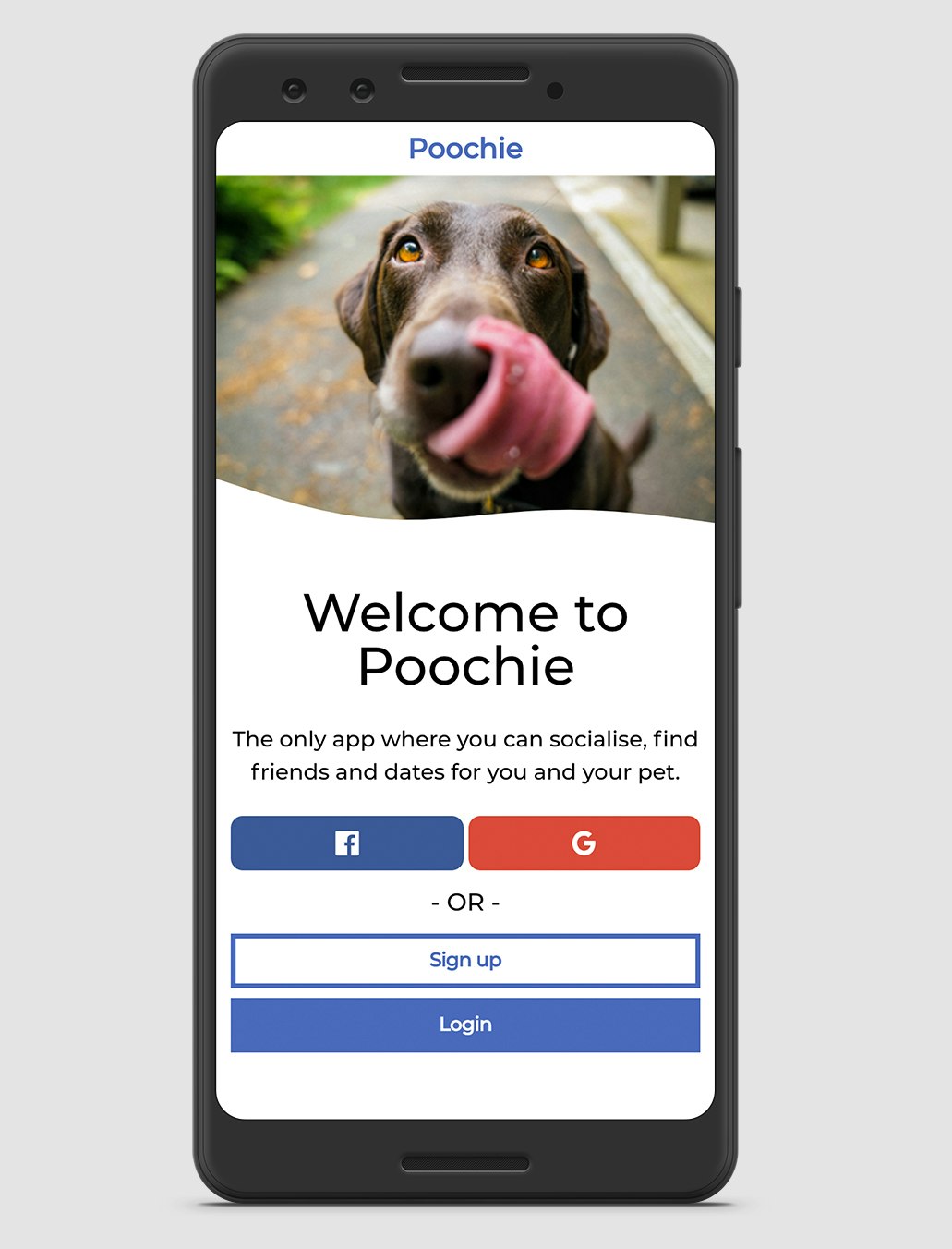 Poochie App gallery image