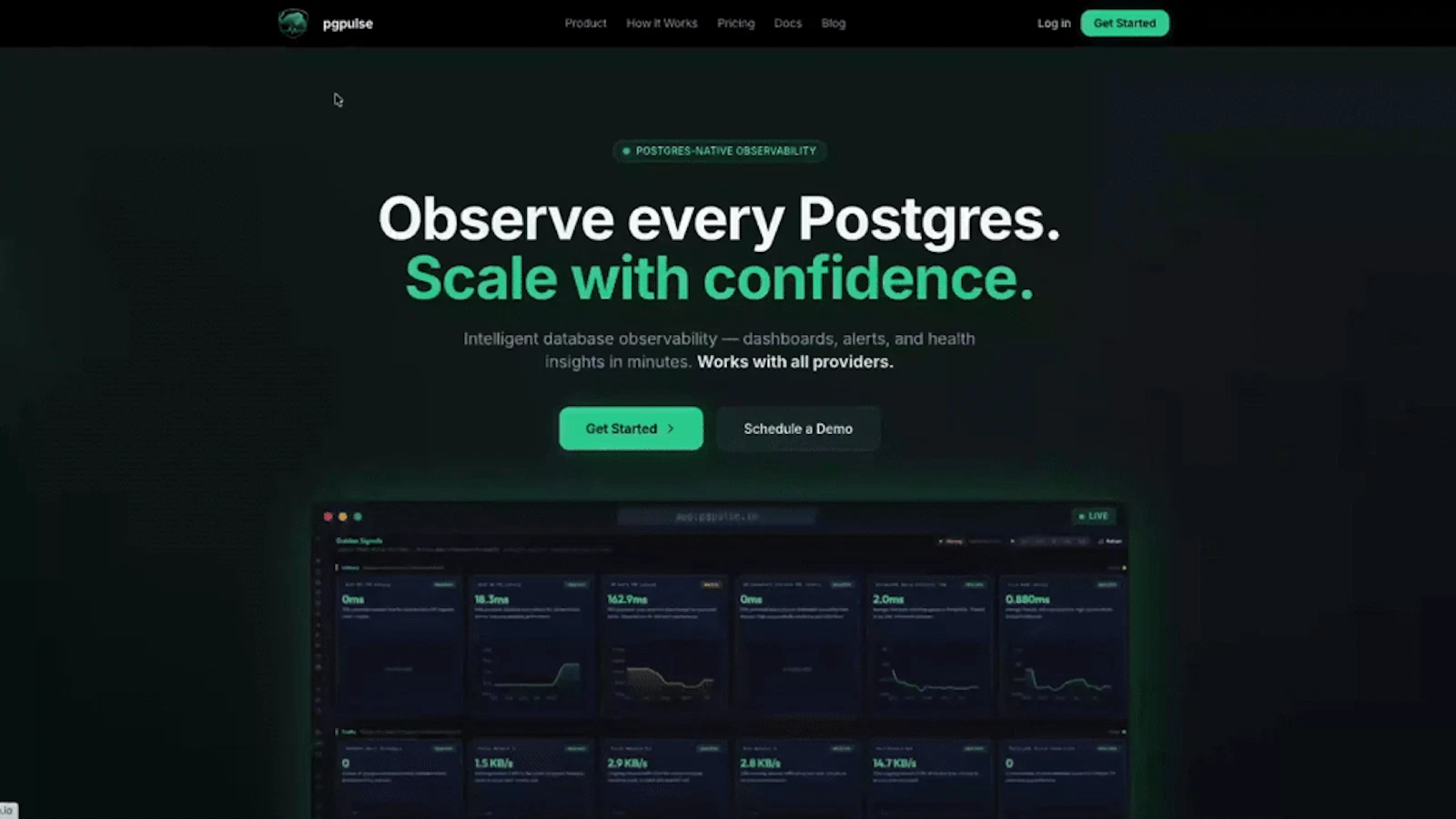 pgpulse screenshot 1 (video preview)