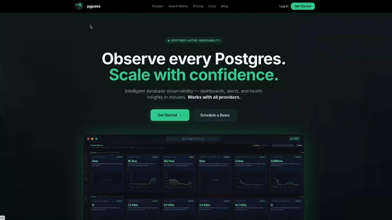 pgpulse screenshot 1 (video preview)