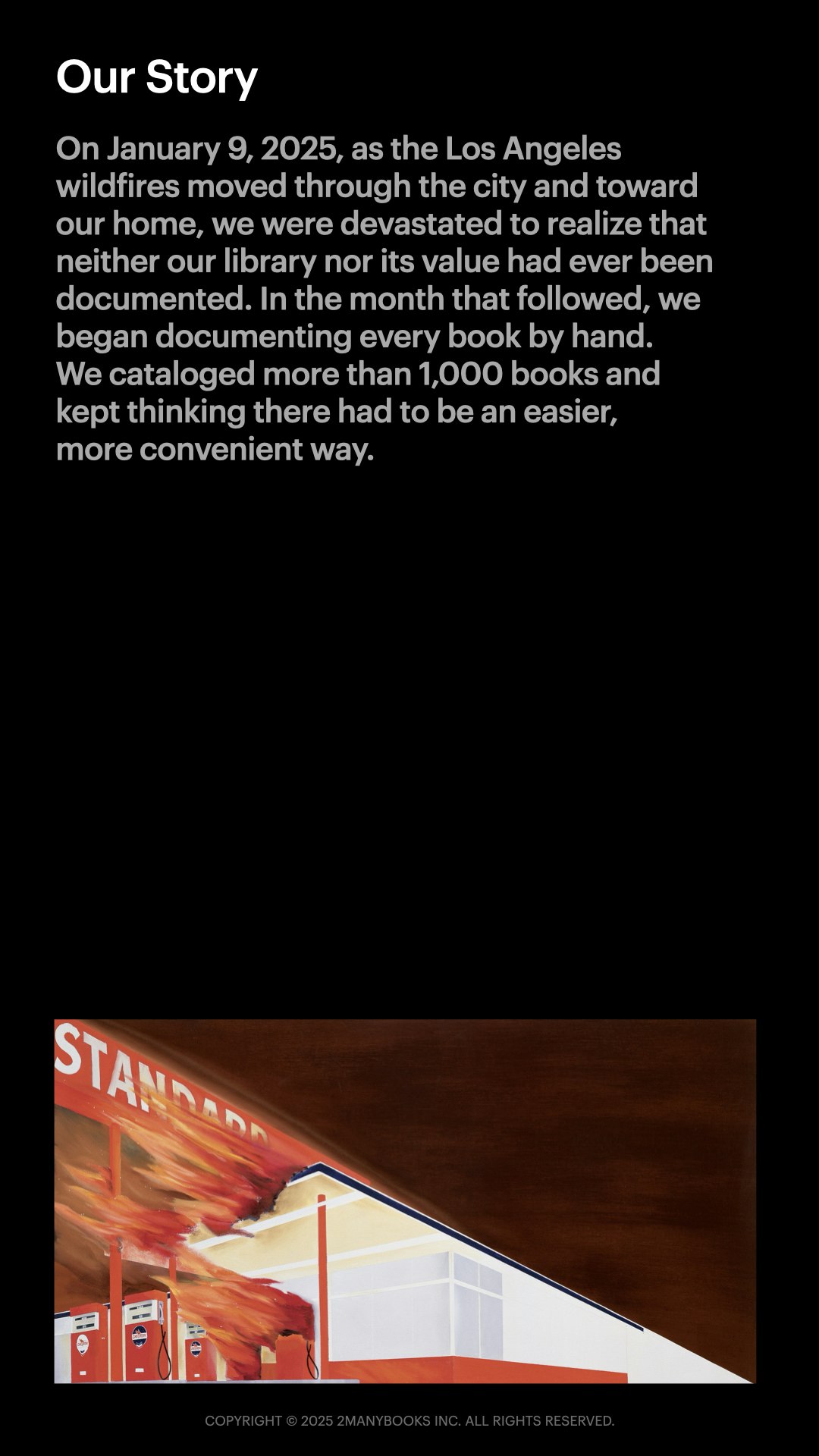 2manybooks - Screenshot 2 showing product features and functionality