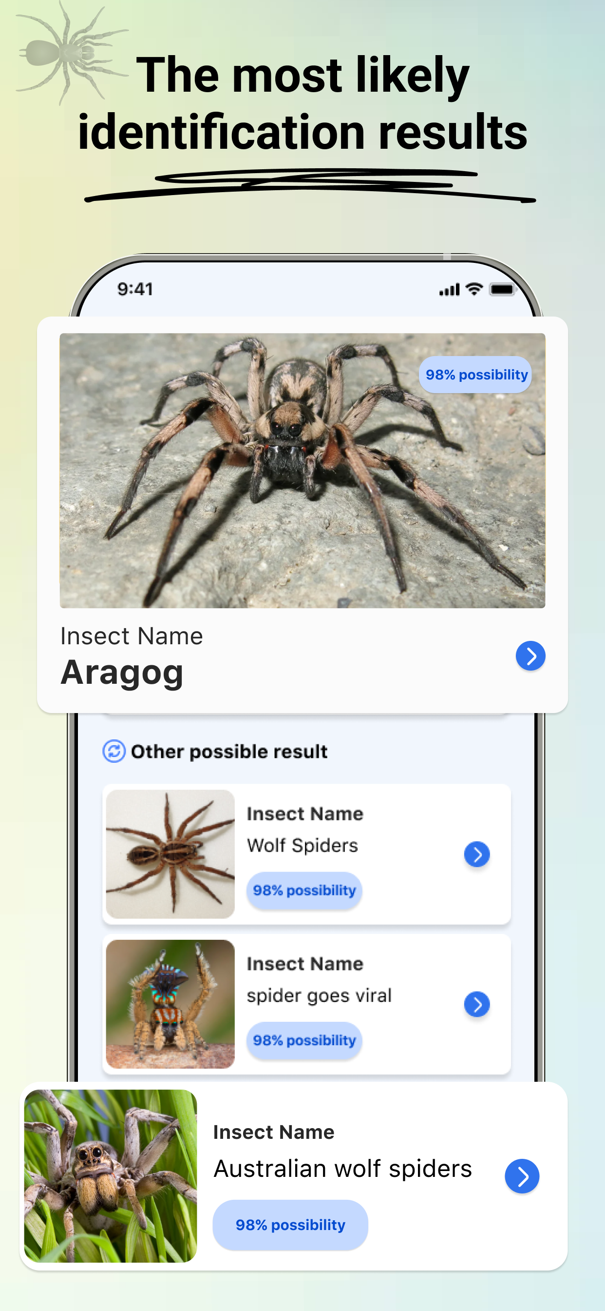 Insect -identificatie: bugvinder media 6