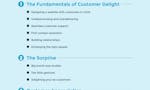 The Customer Delight Playbook image