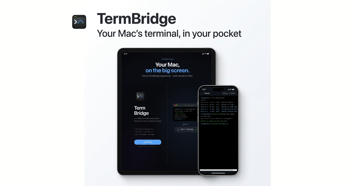 TermBridge gallery image