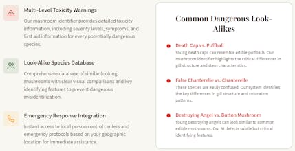 Mushroom Identification gallery image