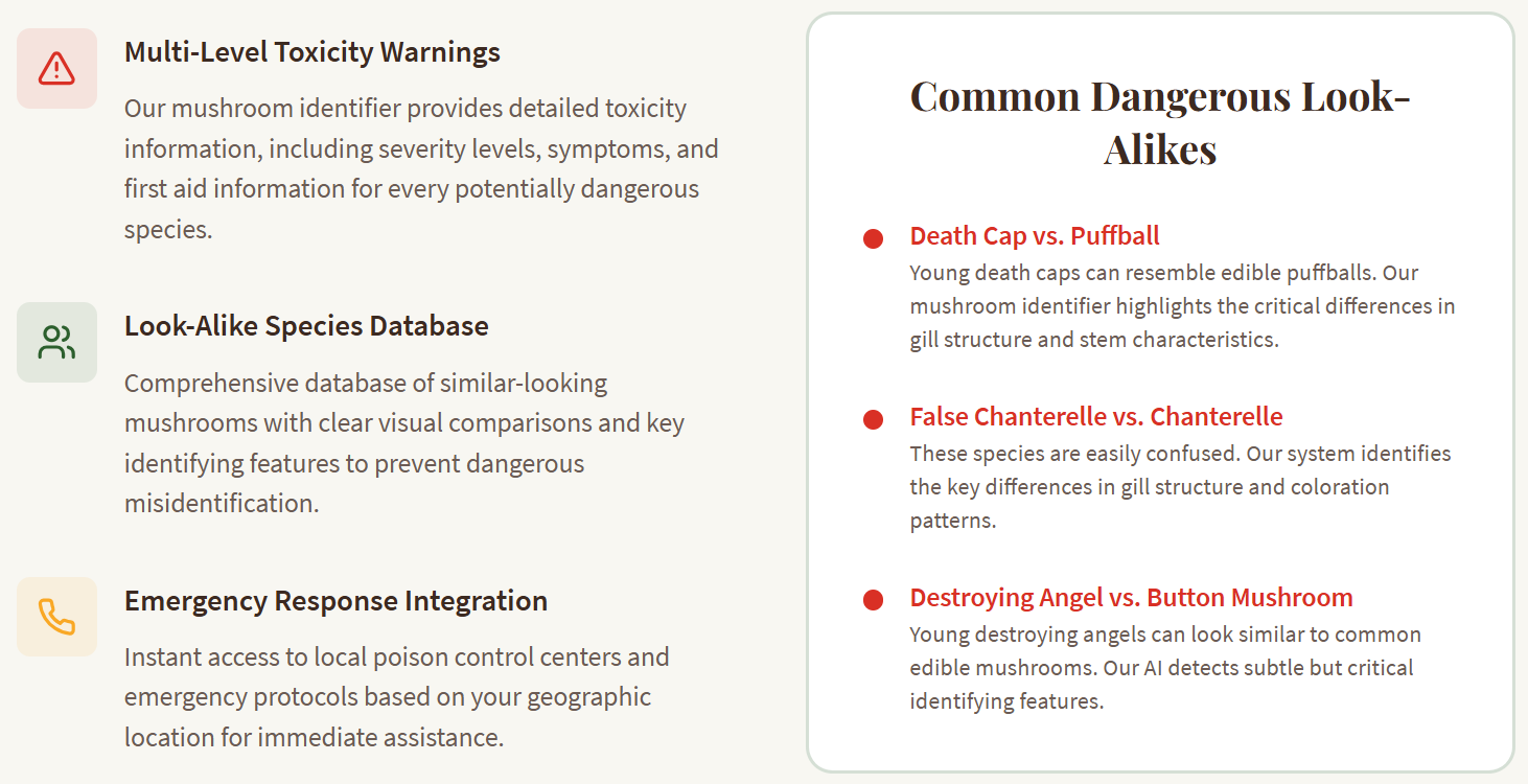 Média Identification des champignons - Un identifiant de champignons AI simple pour une pièce d'identité de champignon rapide 4