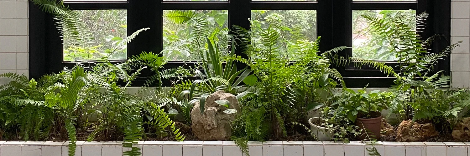 William Felker cover