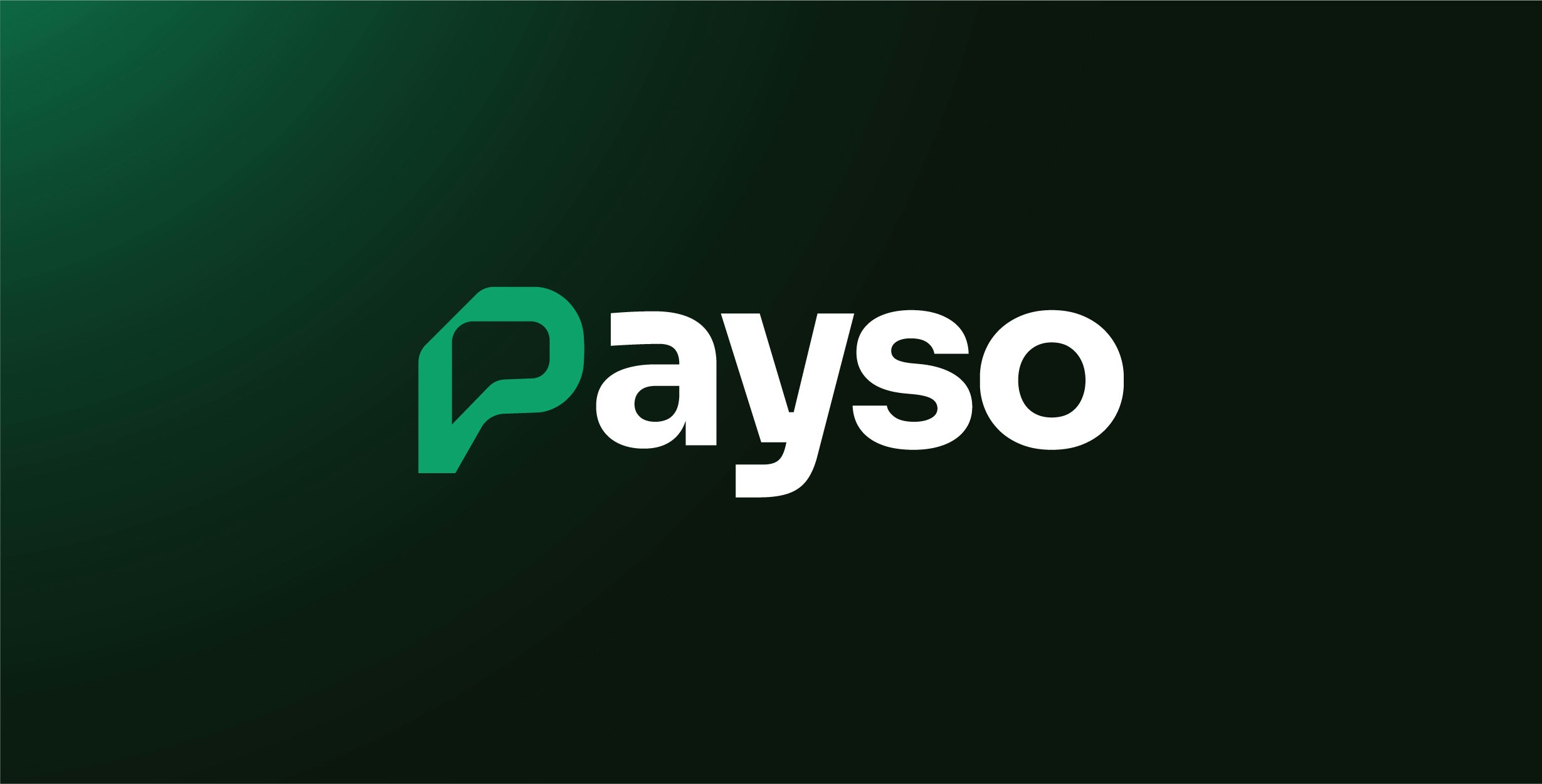 Payso Pro for WooCommerce gallery image