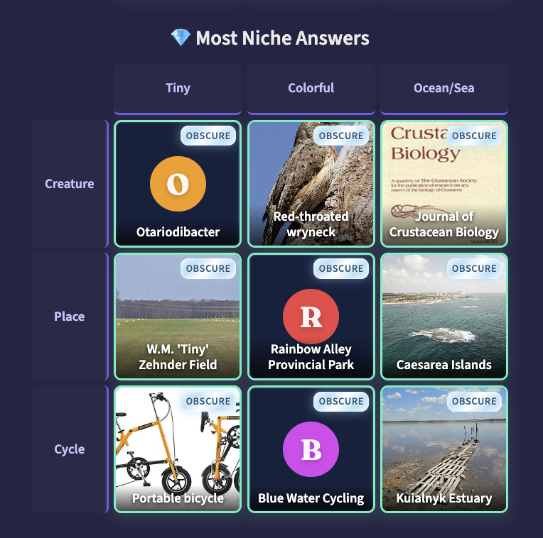 Anything Grid gallery image