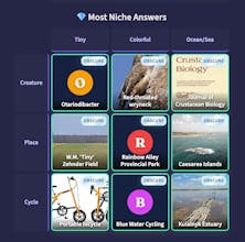 Anything Grid gallery image