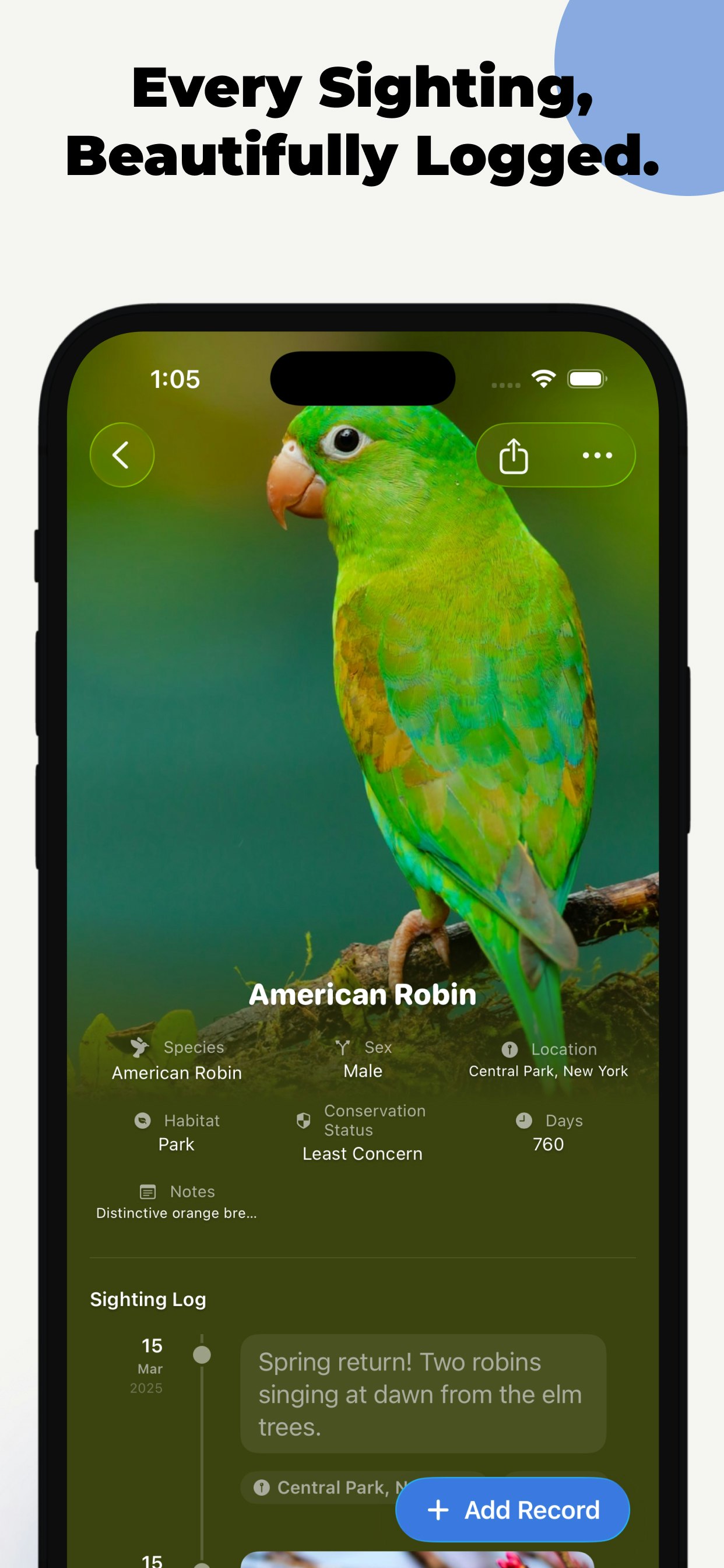 Bird Days gallery image