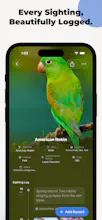 Bird Days gallery image