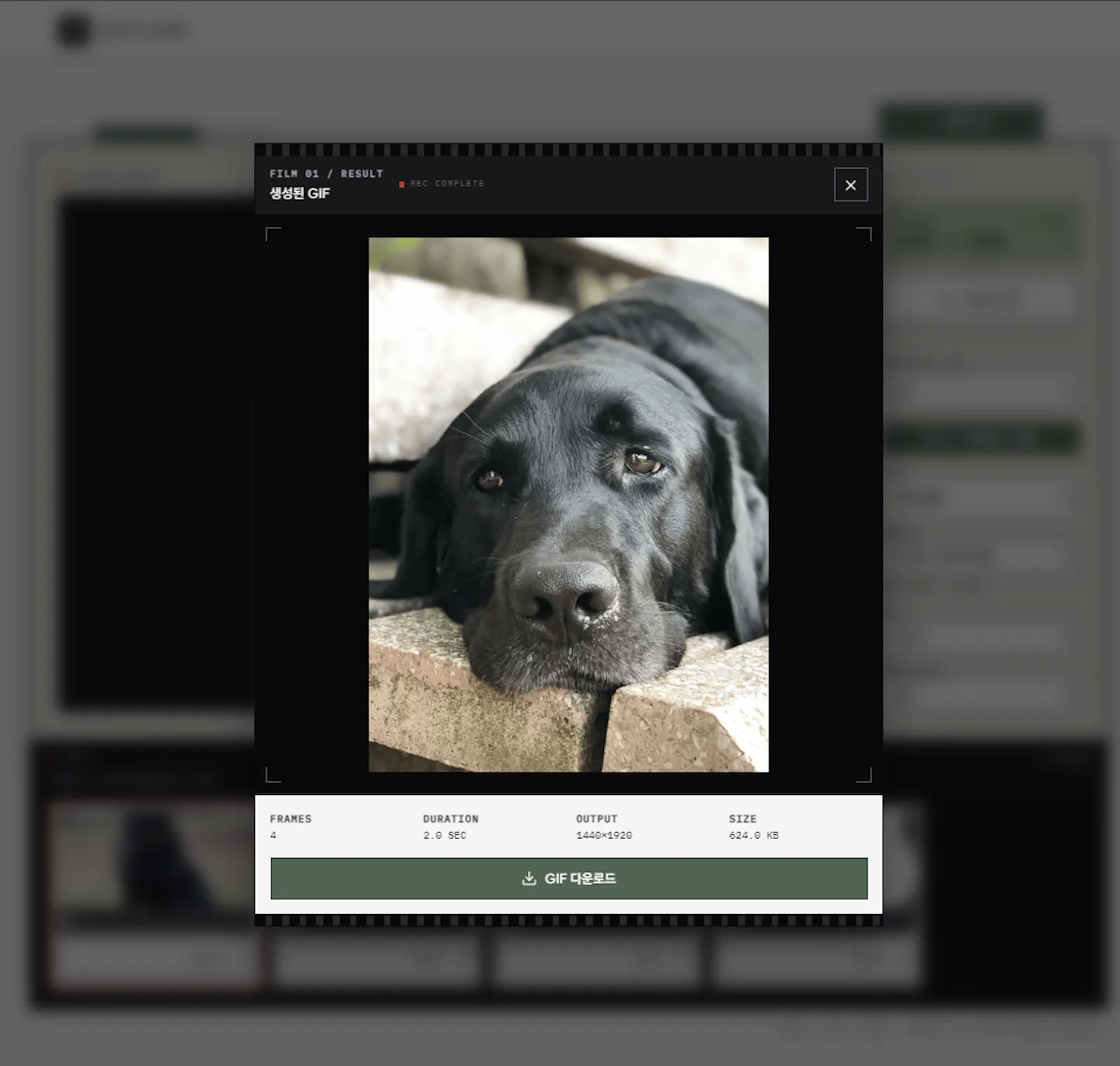 GIFCAM screenshot 3