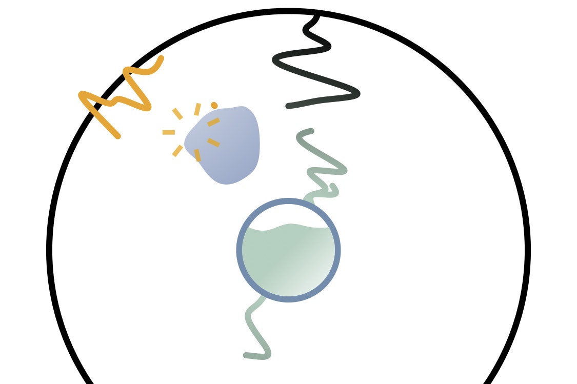 Protecc gallery image