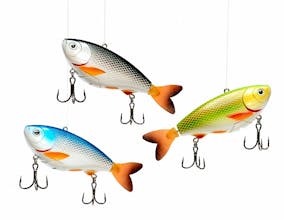 eMinnow gallery image