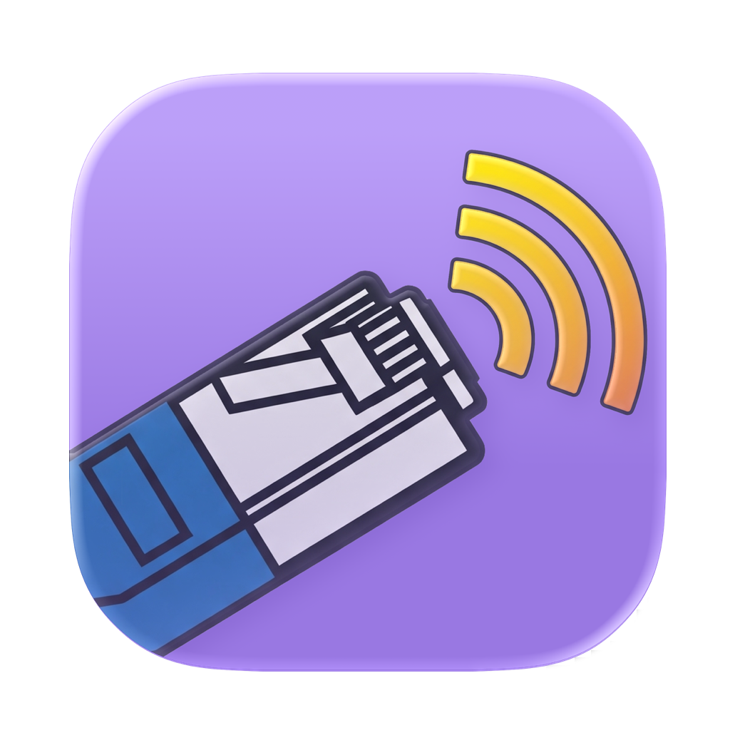 Network Connection Information logo