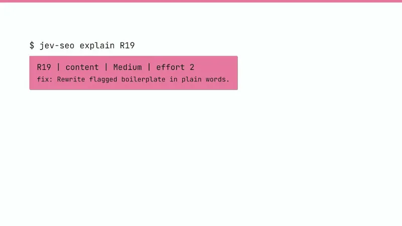jev-seo screenshot 1 (video preview)
