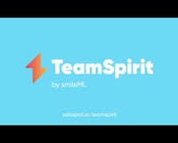 TeamSpirit media 1