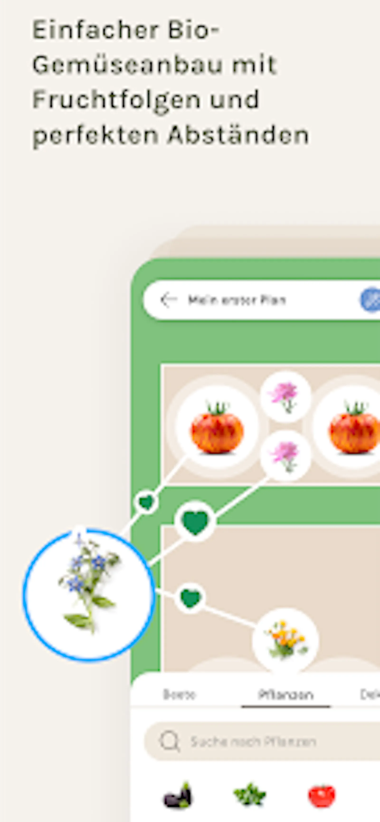 Alphabeet screenshot 7