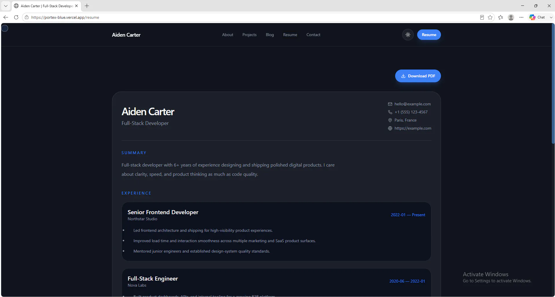 Premium Developer Portfolio Template gallery image
