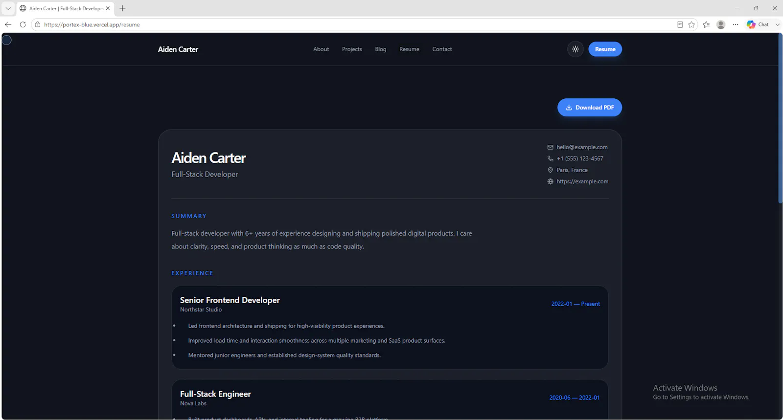 Premium Developer Portfolio Template screenshot 2