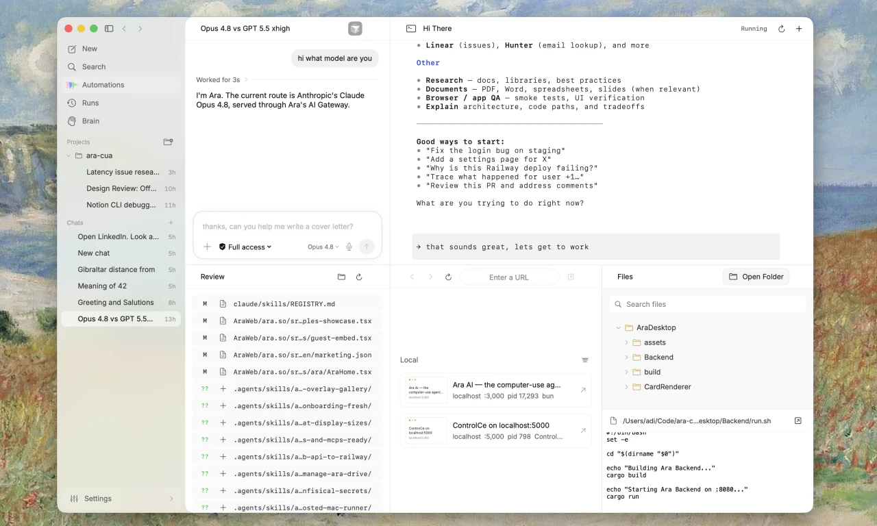 Ara screenshot 2