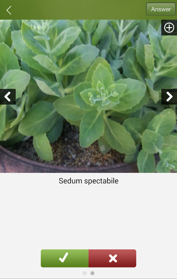 Plantifier gallery image