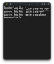 PocketTerm gallery image