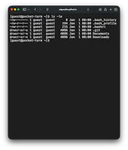 PocketTerm gallery image