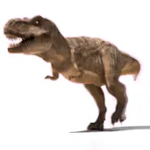 ARLOOPA