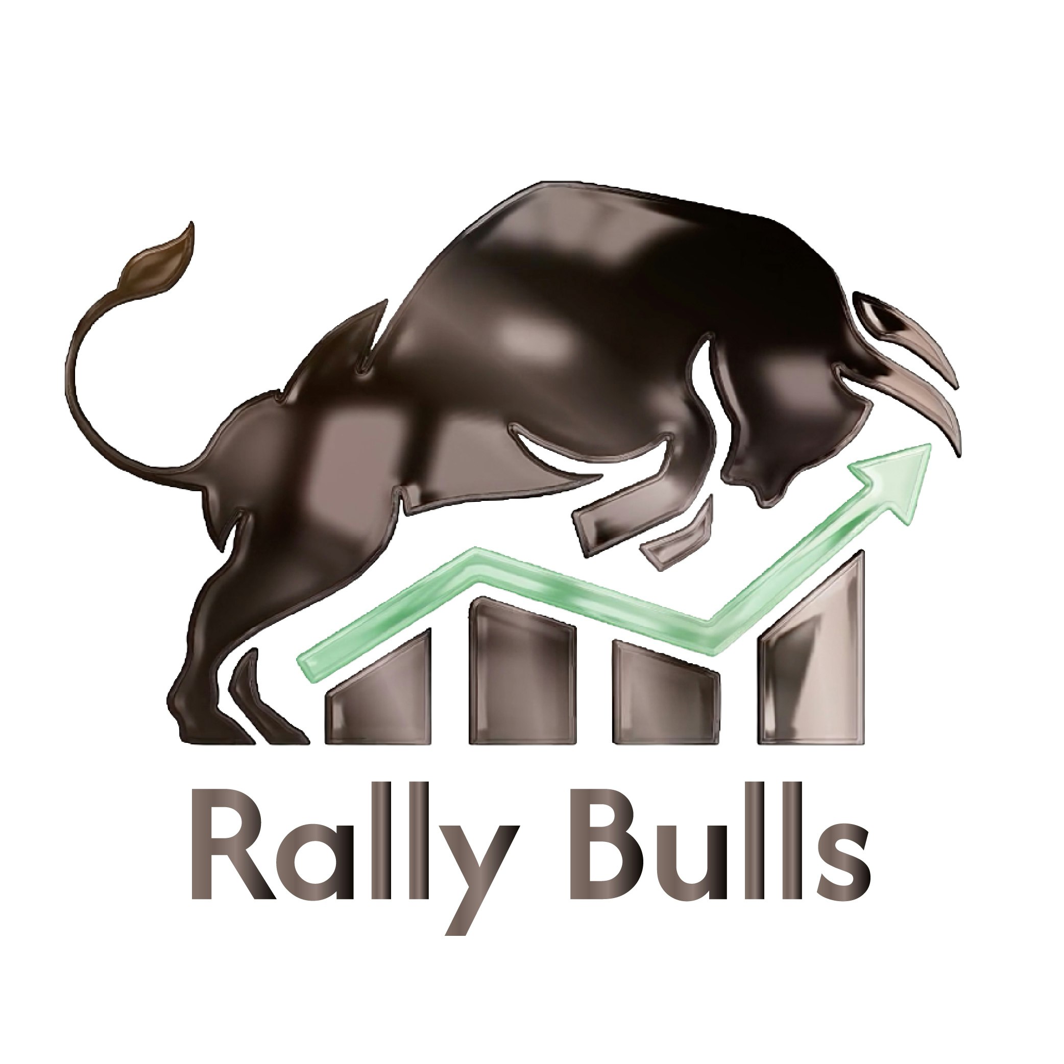 Rally Bulls logo